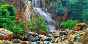 LODH FALLS: नेतरहाट 